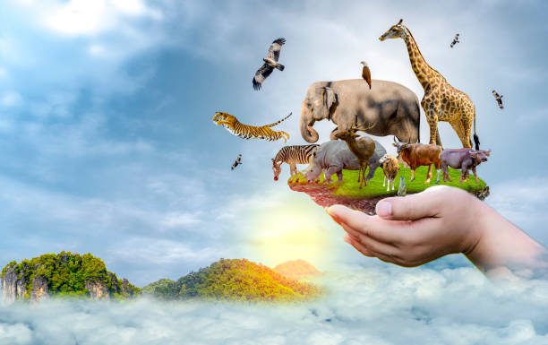 Biodiversitat