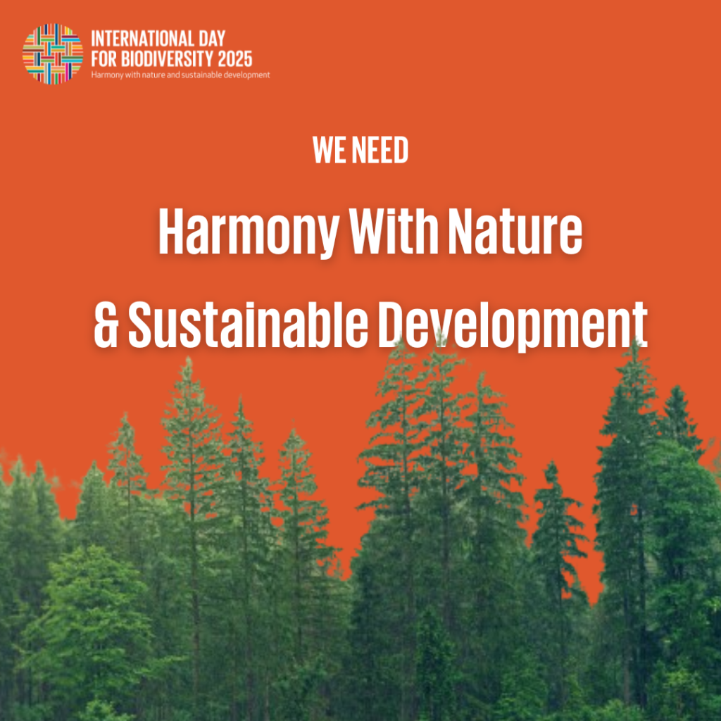 Dia-Mundial-de-la-Biodiversitat-1024x1024