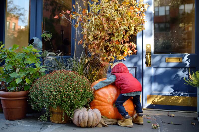 niño-abraza-calabaza-gigante-divirtiéndose-en-el-soleado-día-de-otoño-calabazas-hojas-secas-y-flores-decoración-tradicional-199509872