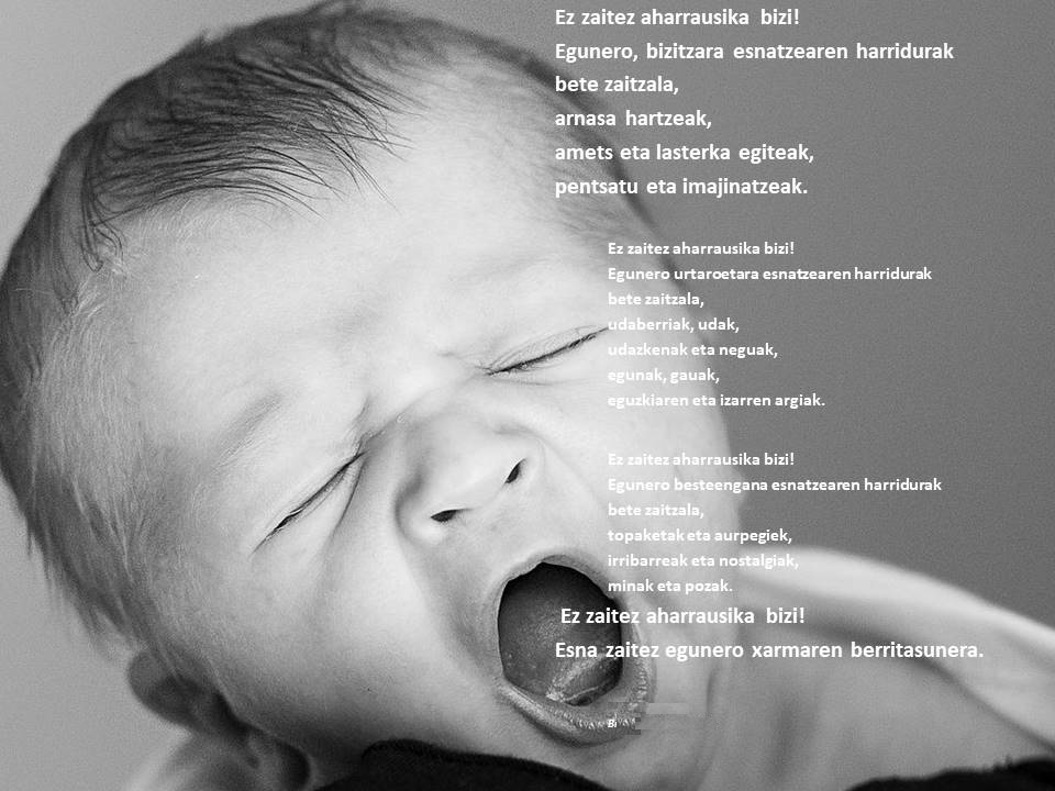 ezzaitezaharrausikabizi_1